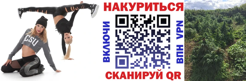 Купить Псилоцибиновые грибы  Мефедрон  Гашиш  Каннабис  Alpha-PVP  Малгобек