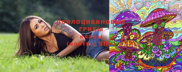 спайс Верея
