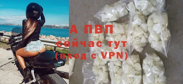 стафф Волоколамск