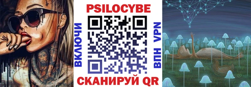 Купить  Малгобек  Галлюциногенные грибы Psilocybine cubensis 